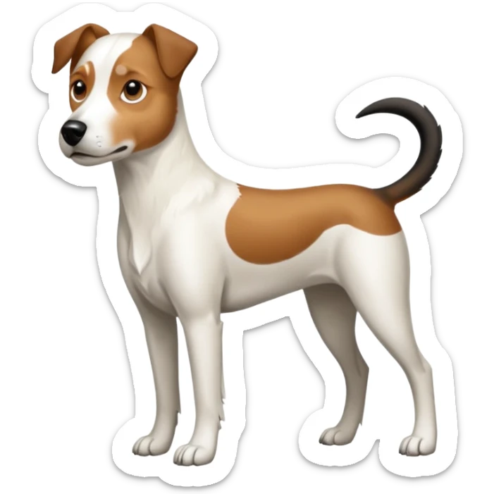 a full body large white parson russell looking dog the size of a kelpie with light brown flapped down ears and a light brown patch on one eye and a large snout sticker