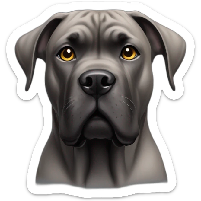 cane corso sticker