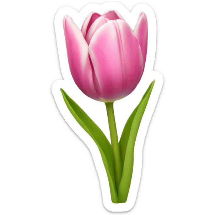 Tulip sticker