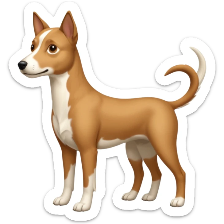 a full body white parsel russell looking dog the size of a kelpie with light brown ears and a light brown patch on one eye and a large snout sticker