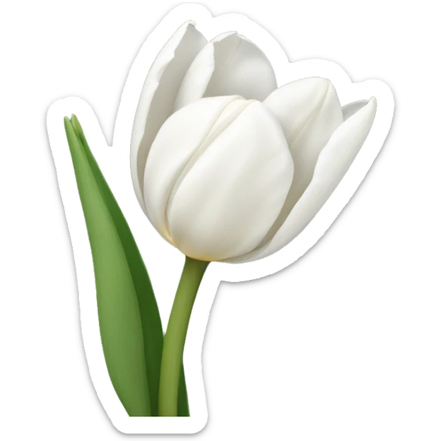 White tulips  sticker