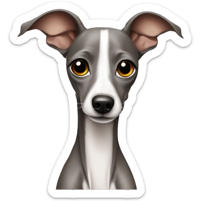 italian greyhound  sticker