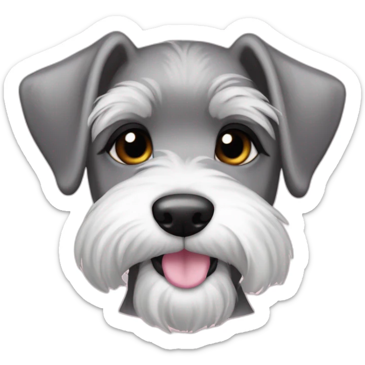 female puppy color "pepper and salt" breed medium Schnauzer with hanging ears hanging ears and a pale pink string around its neck sticker