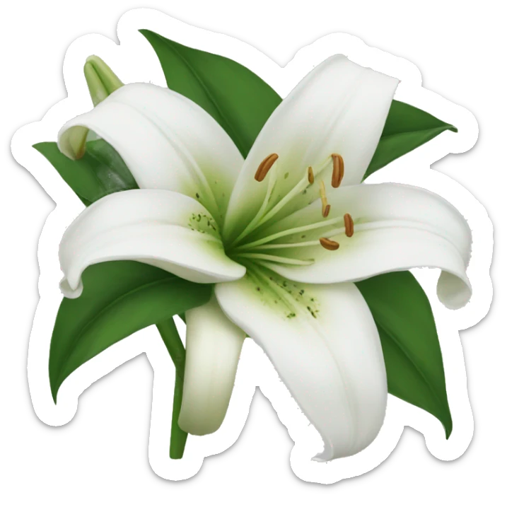 White lily sticker
