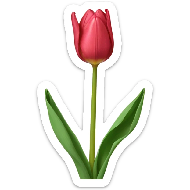 Tulip sticker
