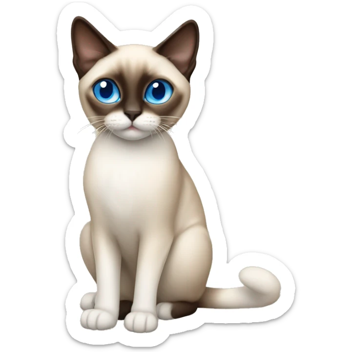 Snowshoe Siamese cat with blue eyes one side of his face dark brown and other cream sticker
