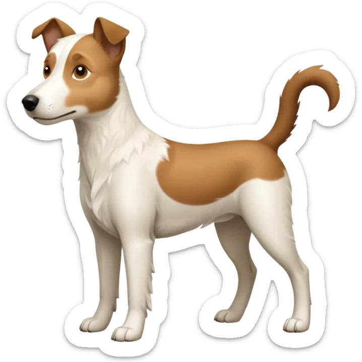 a full body large white parson russell looking dog the size of a kelpie with light brown flapped down ears and a light brown patch on one eye and a large snout sticker
