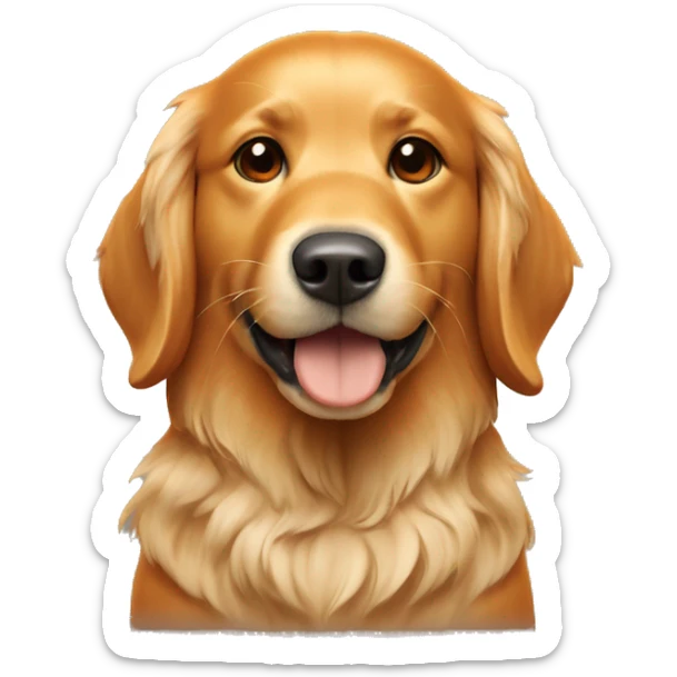 golden retriever with texas longhorns university orange football helmet  sticker