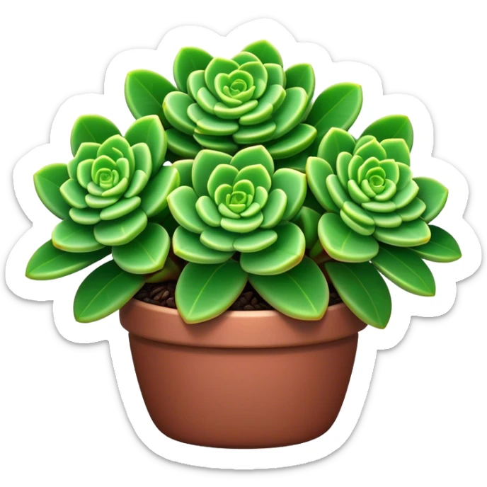 Cinematic Realistic Crassula Emoji, Compact and vibrant, with small, fleshy leaves arranged in thick, rounded clusters. The deep green hue of the leaves radiates calm, while their structured growth speaks of endurance. Soft glowing outline, capturing the essence of perseverance and tranquility in a crassula plant! sticker