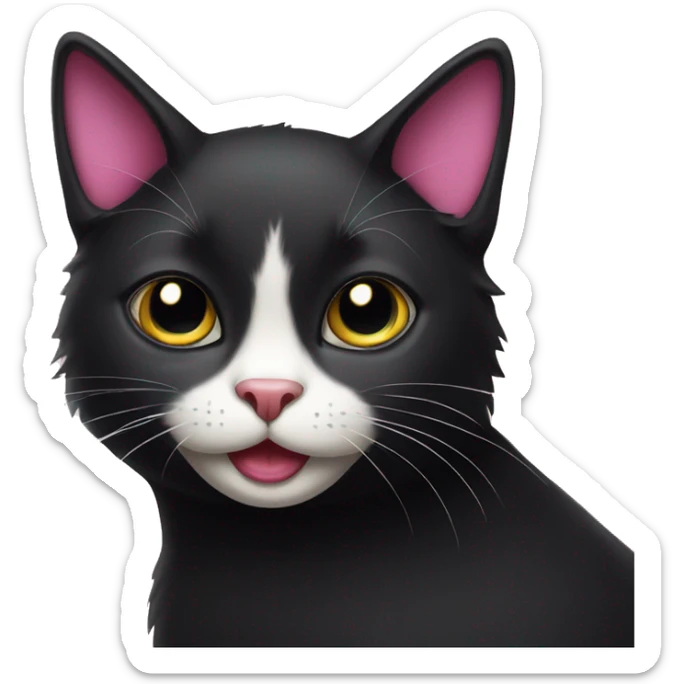 luxurious black cat with white patch and pink mouth sticker