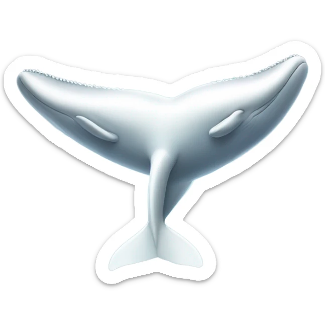 white whale , underside sticker