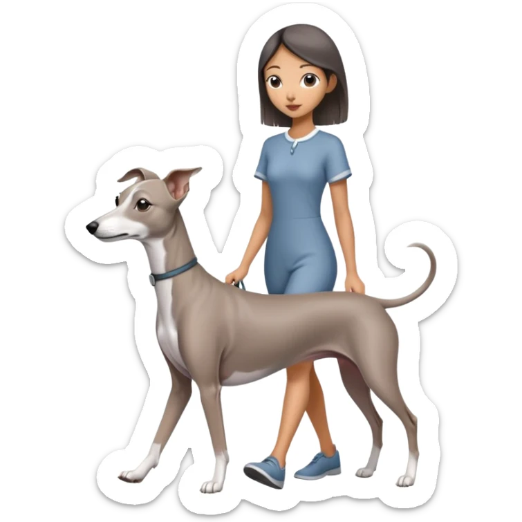 Beautiful Asian girl with cute features walking an all grey Italian greyhound with no white nose sticker