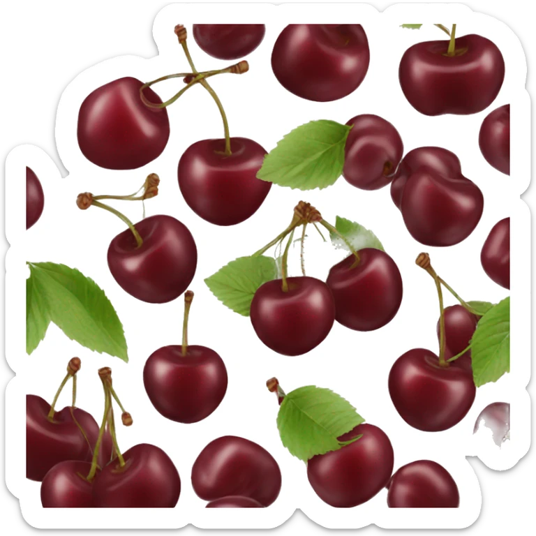 Burgundy cherries  sticker
