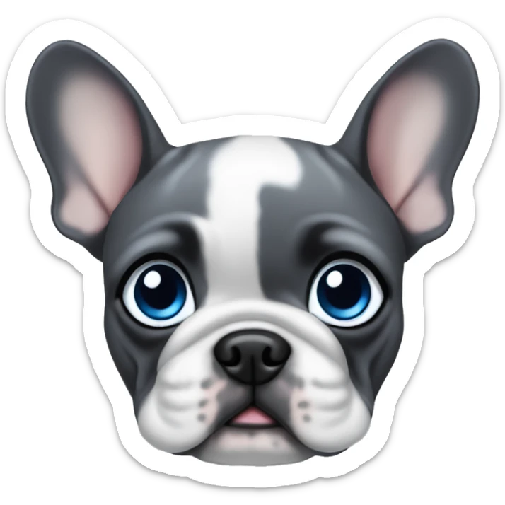 Dark Gray French Bulldog puppy with blue eyes sticker