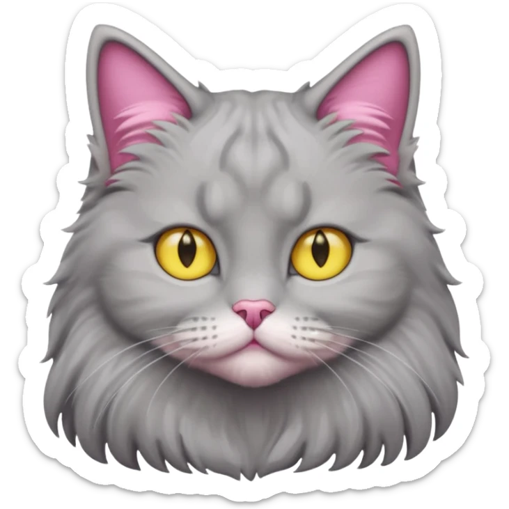grey fluffy british long hair cat with yellow eyes straight fluffy hair rosa ears and grey rosa nose sticker