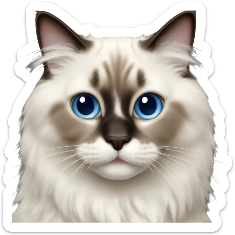 Ragdoll cat sticker