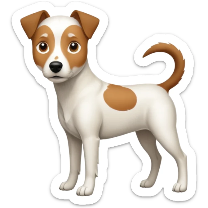 a full body large white parson russell looking dog the size of a kelpie with light brown flopped down ears and a light brown patch on one eye and a large snout sticker