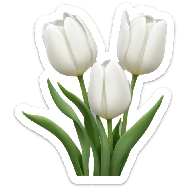 White tulips sticker