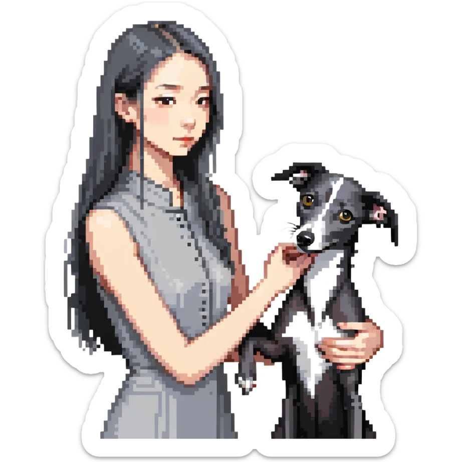 Slim Chinese girl with long black hair petting a dark grey Italian greyhound with a visible grey chest, no white markings anywhere sticker