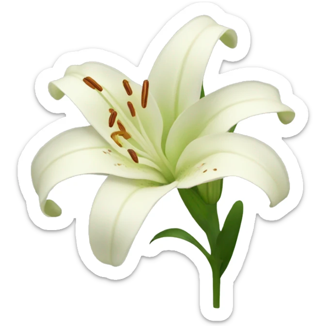 lily flower sticker