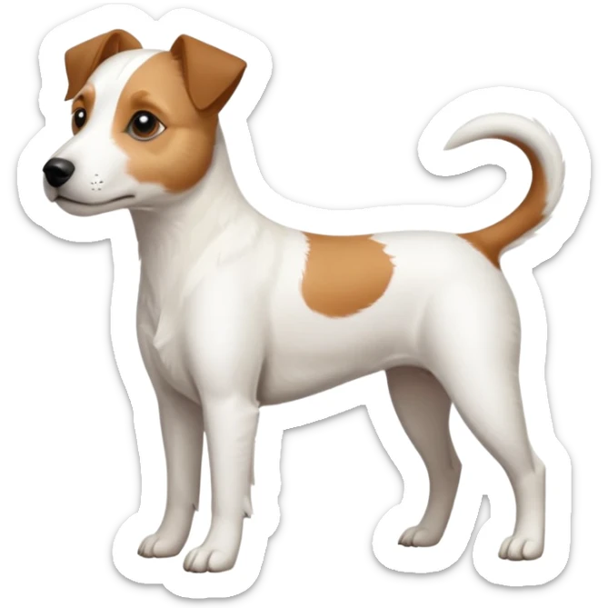 a full body slightly chubby white parson russell terrier looking dog the size of a kelpie with light brown long ears and a light brown patch on one eye and a large snout sticker