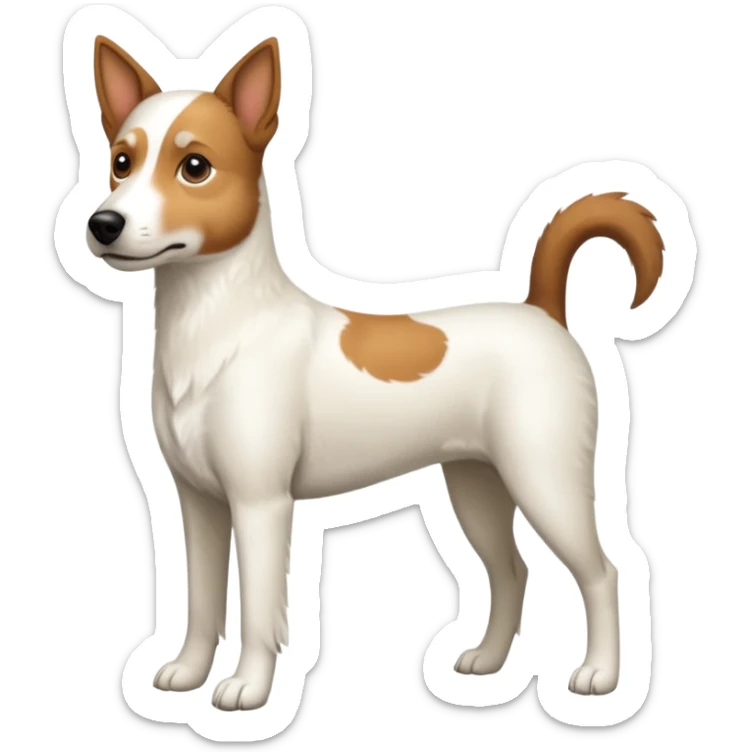 a full body large white parson russell looking dog the size of a kelpie with light brown flopped down ears and a light brown patch on one eye and a large snout sticker