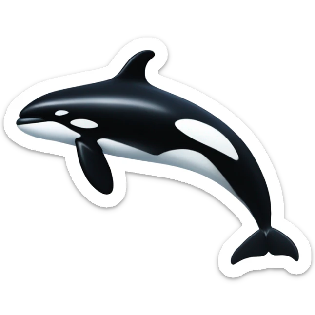 Orca  sticker