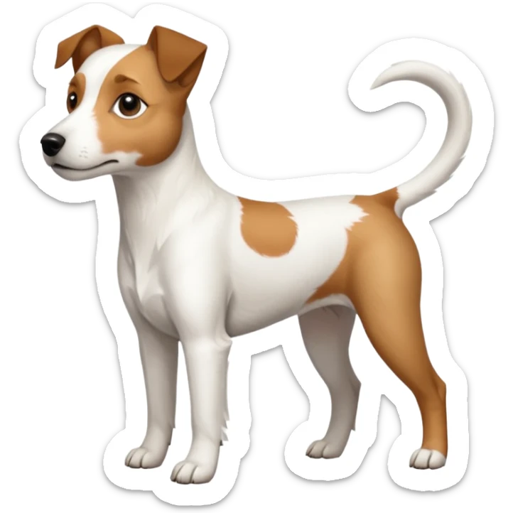 a full body white parson russell looking dog the size of a kelpie with light brown ears and a light brown patch on one eye and a large snout sticker