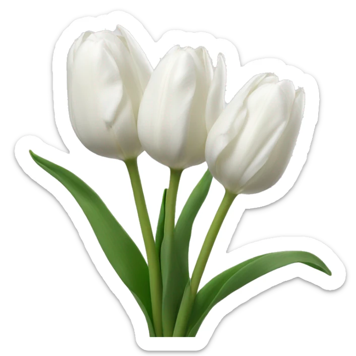 white tulips sticker