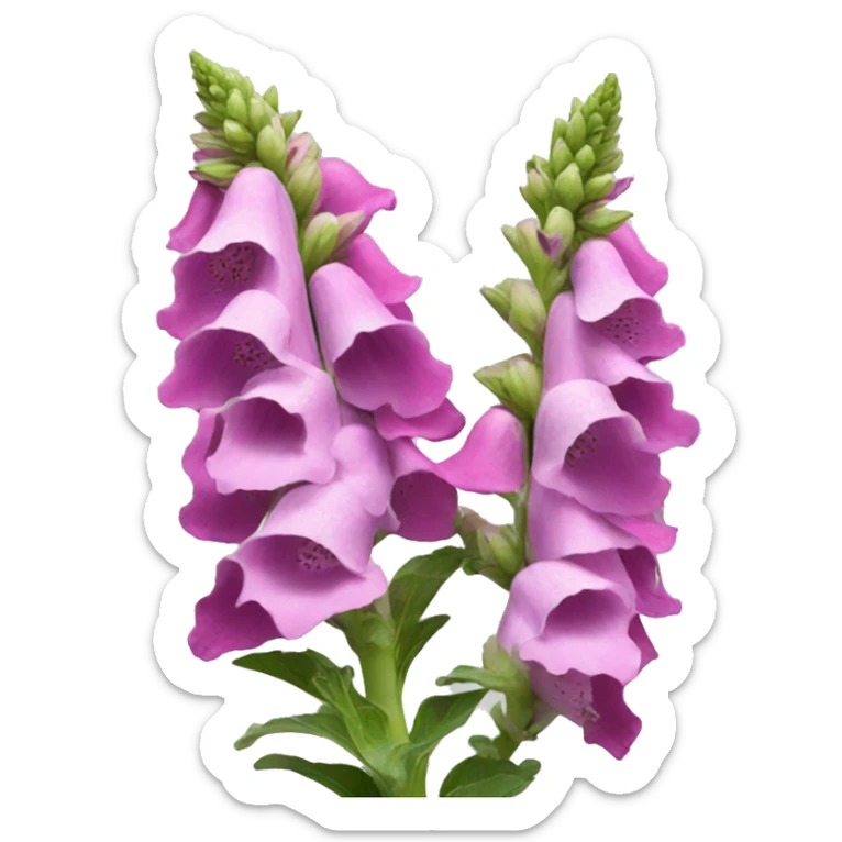 foxglove flower sticker