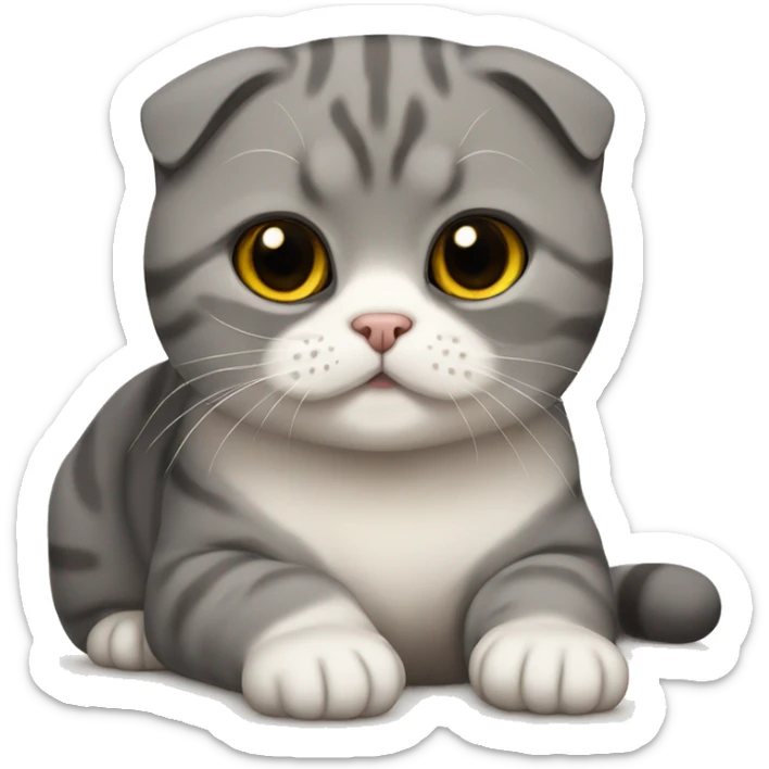 Scottish fold cat sticker