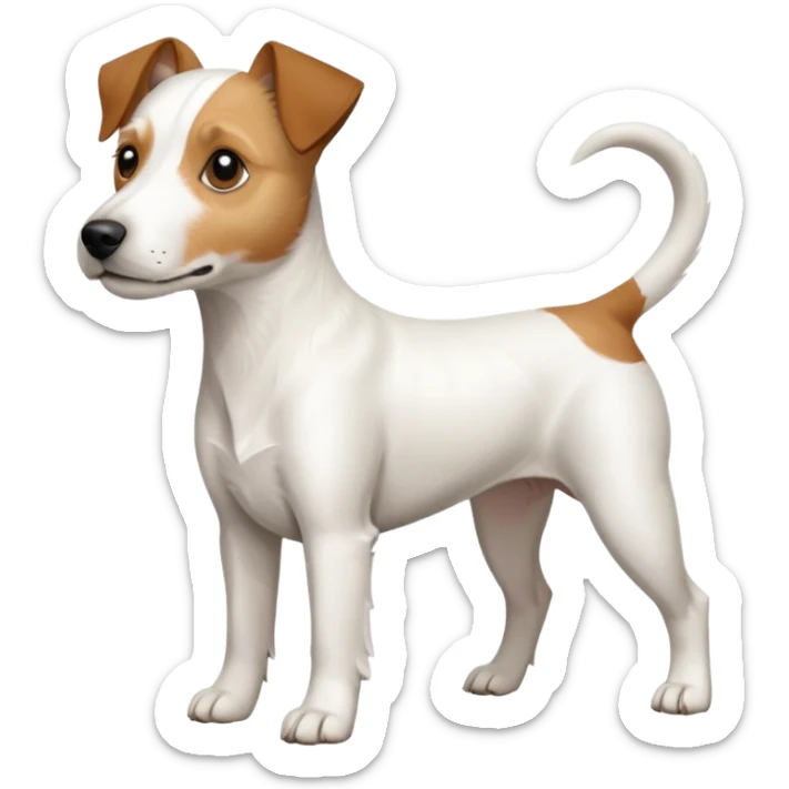 a full body white parson russell looking dog the size of a kelpie with light brown ears and a light brown patch on one eye and a large snout sticker