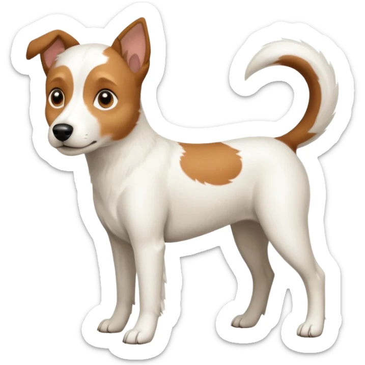 a full body white parson russell looking dog the size of a kelpie with light brown ears and a light brown patch on one eye and a large snout sticker