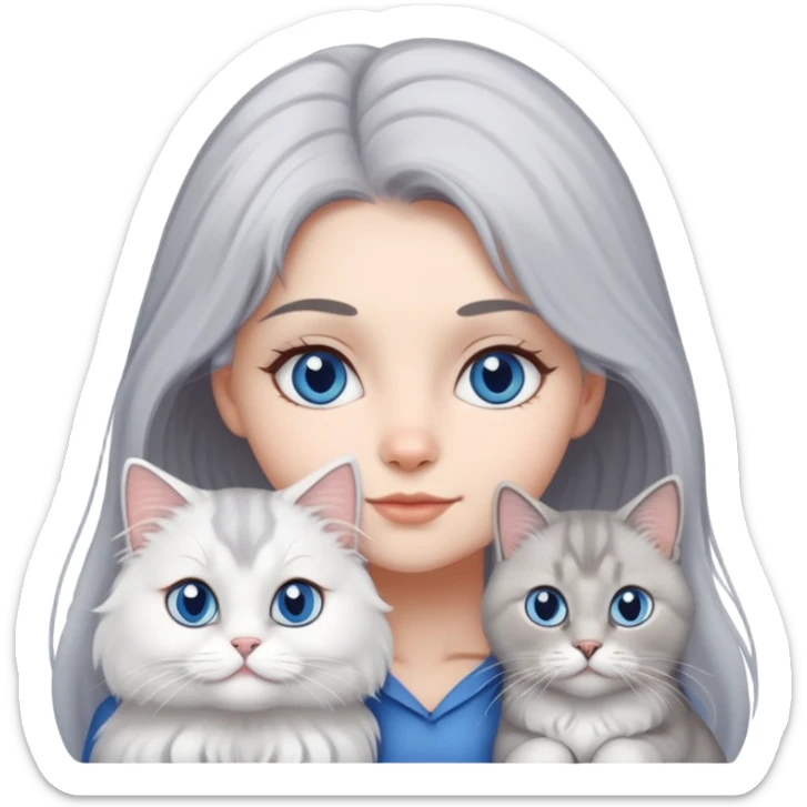 gray hair girl with white blue eye British Longhair cat sticker