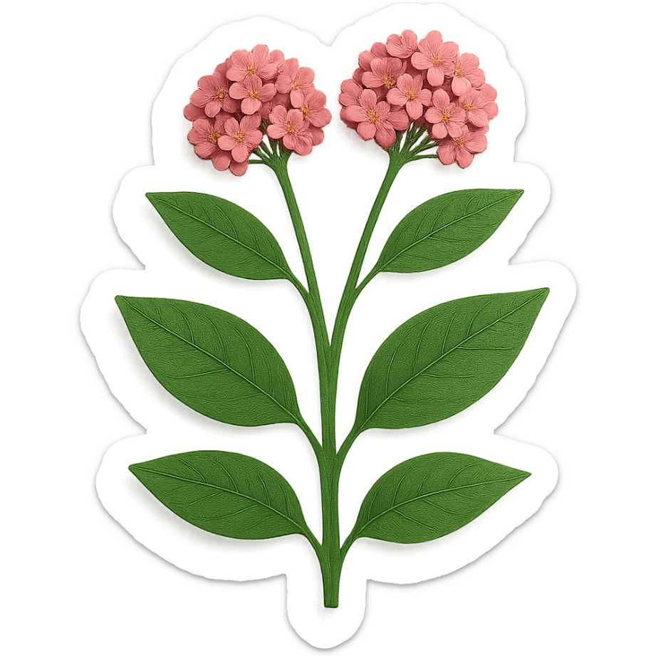 milkweed in paper craft style, layered paper details, tall green stems, broad leaves, pink flower clusters, naturalistic pose sticker