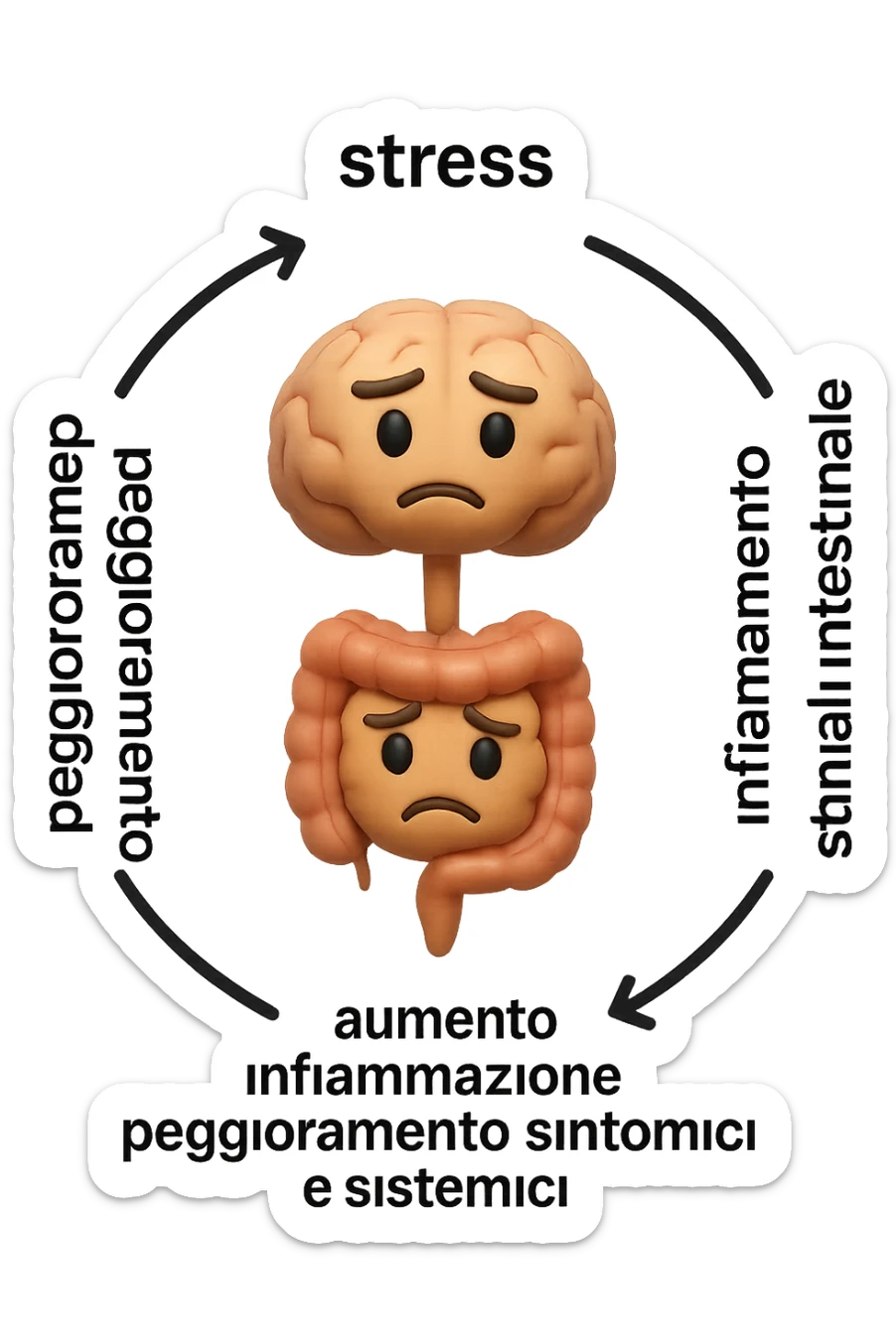 EMOJI STILE IPHONE 3D DI un cerchio con queste scritte che girano intorno "stress → peggioramento intestinale → aumento infiammazione → peggioramento sintomi intestinali e sistemici." al centro del cerchio metti un cervello e intestino umani collegati verticalmente con espressione dubbiosa in volto, FALLO MOLTO REALISTICO IN 3D sticker