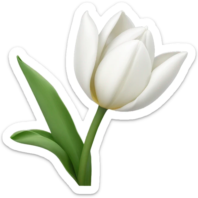 white tulips sticker
