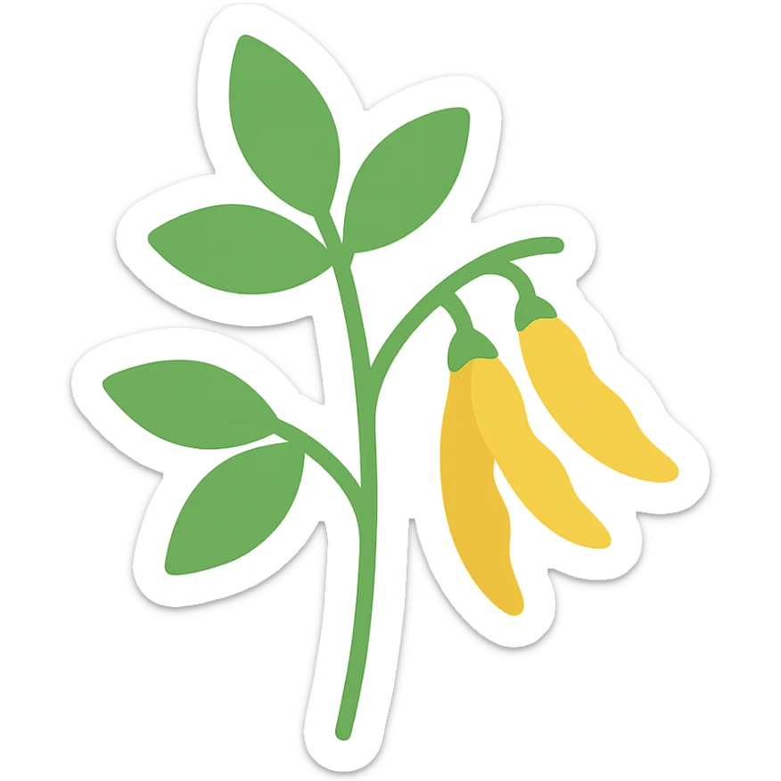 colored icon of a pigeonpea plant with green leaves and yellow pods sticker