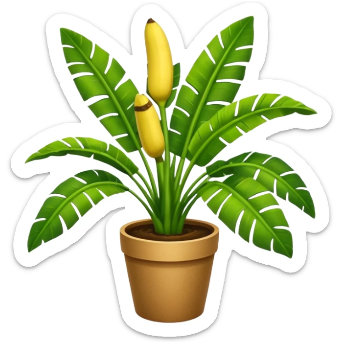 Potted plant, the potted plant contains banana leaves sticker