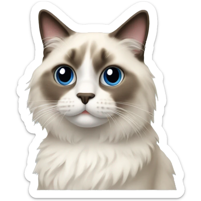 ragdoll cat sticker