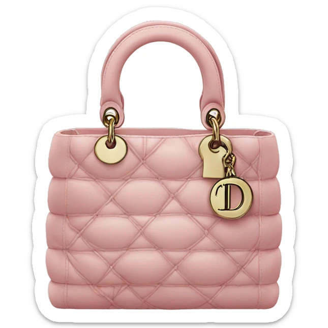 Dior bag  sticker