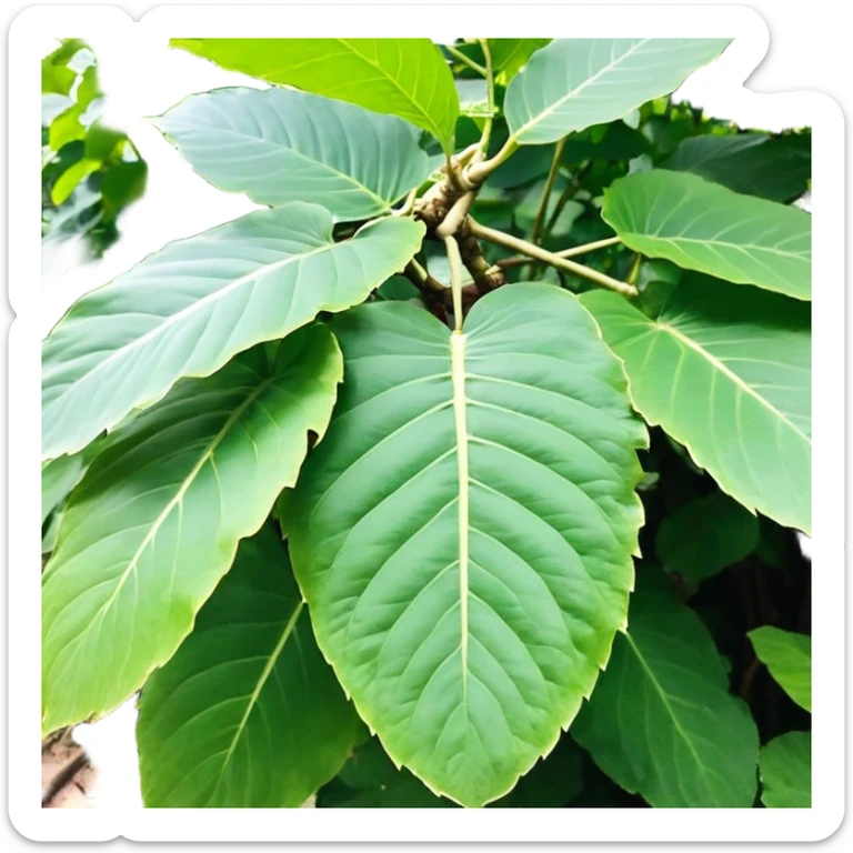 Chú hề đội mũ vuông cao xanh nước biển, cười tươi, mặt dài cằm nhọn sticker