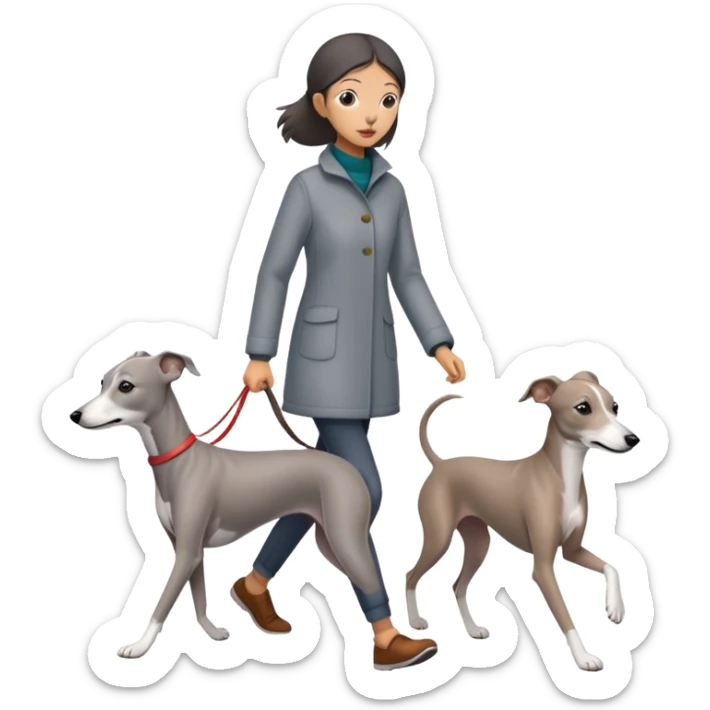 Asian girl walking an all grey Italian greyhound with no white nose, completely grey dog sticker