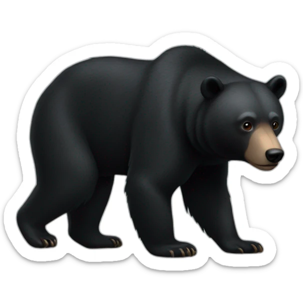 Black Bear full body sticker
