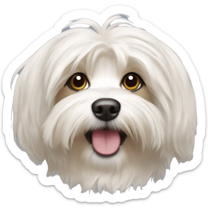 Havanese sticker