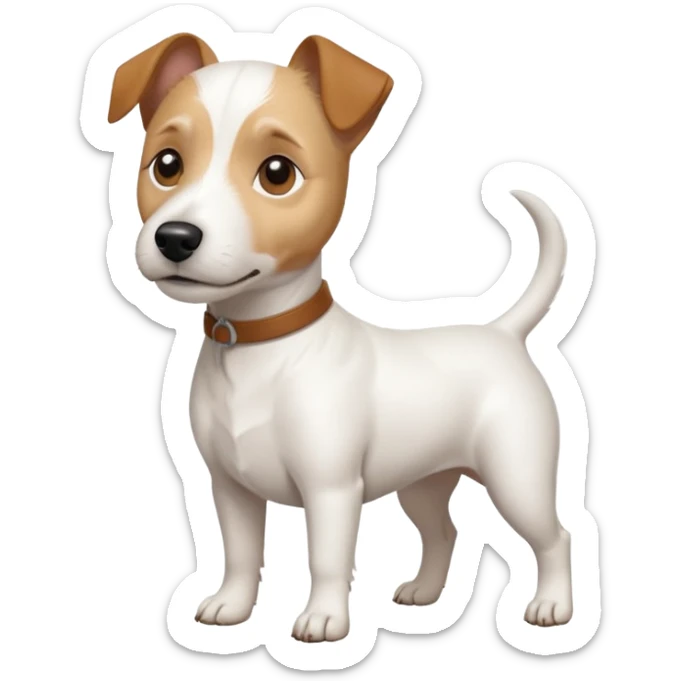 a full body white jack russel looking dog the size of a kelpie with light brown ears and a light brown patch on one eye and a large snout sticker