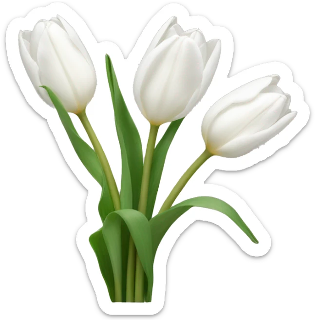 white tulips  sticker