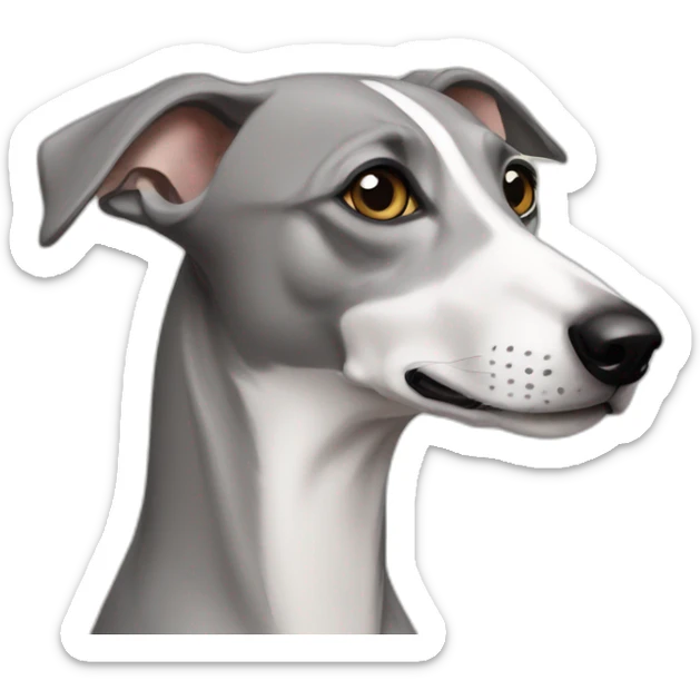 Whippet sticker