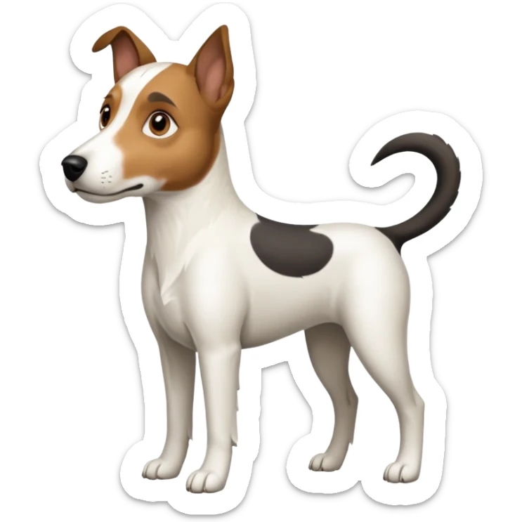a full body large white parson russell looking dog the size of a kelpie with light brown ears and a light brown patch on one eye and a large snout sticker