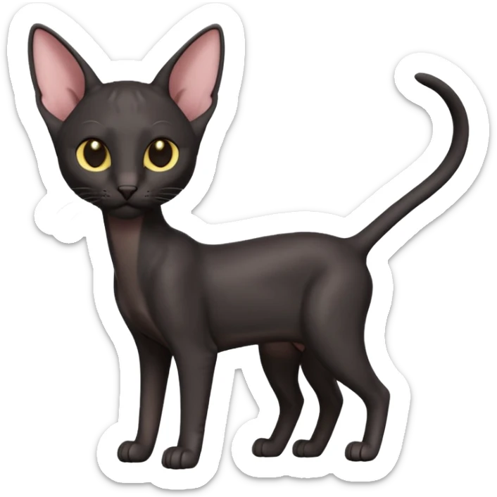 A 3D cartoon black Oriental Shorthair cat with bulky body, tall ears, reflective fur, dark cinematic background, Memoji-style. full body or half body. sticker
